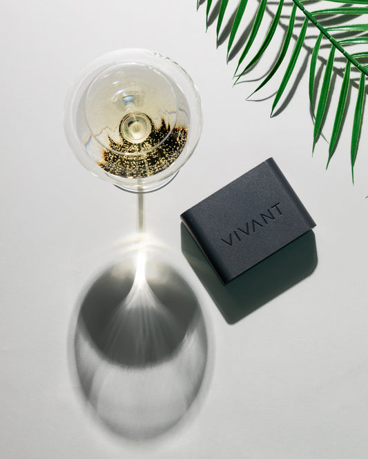 VIVANT 專用可充式電池